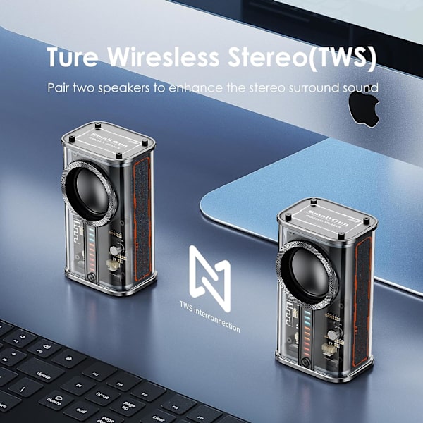 Bärbar Bluetooth-högtalare med lampor, transparent trådlös mini Bluetooth-högtalare med TWS, perfekt liten högtalare HD-ljud och bas för kontor, hem, dusch, rum, cykel, bil (svart)
