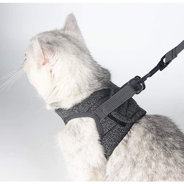 Kissan valjaat ja hihna Ultralight Kitten Collar Pehmeä ja mukava Kissan kävelytakki Juoksu, vuototiivis Sopii pennuille Kaneille (Harmaa, M)