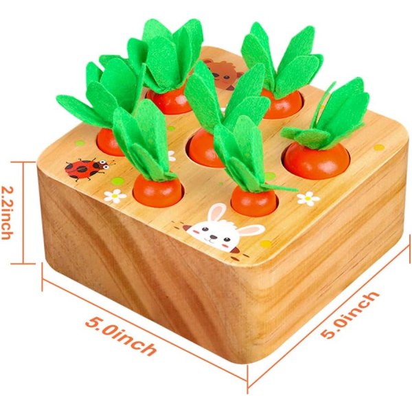Trægård Høstspil, Montessori Legetøj, Læringslegetøj til 1-3-årige Drenge og Piger, Sortering af Grøntsags- og Frugtformer, Finmotorisk Legetøj, Gave til Småbørn 1 til 3 år