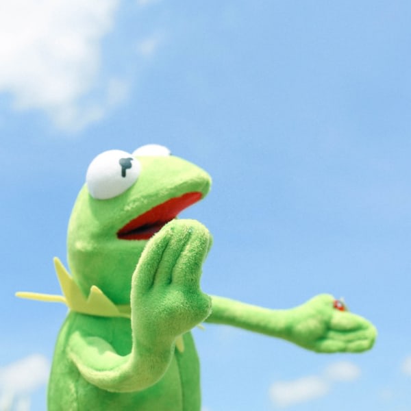 40cm Kermit The Frog Sesame Street Muppet ETT ARTIKEL Full Body Gör en one size