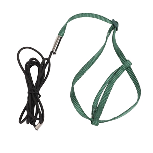 Bird Harness Leash Adjustable Elastic Flying Training Parrot Traction Rope for Cockatiel LovebirdGreen XL