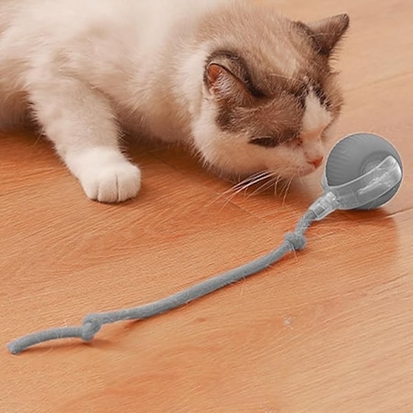 Interaktiv kattleksak / Leksak för katt - Boll som rör sig 82