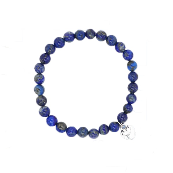 Hjärtformat Bi Magnetiskt Lymf Meridian Armband Viktminskning Lapis lazuli