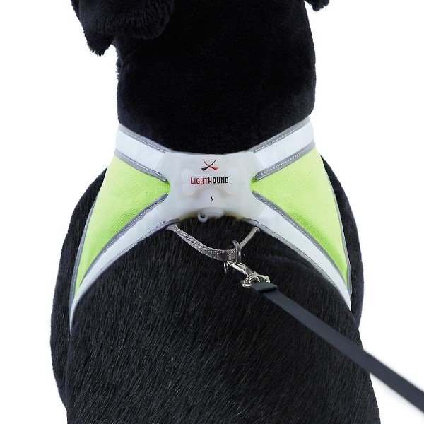 Noxgear Lighthound 360 synlighed multifarvet reflekterende LED-hundesele