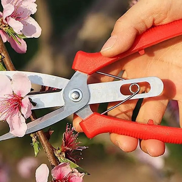 Smedede rustfrie stålsaks til æbler og pærer med dobbelt mund - landbrugsredskaber til beskæring af frugt og udtynding af blomster