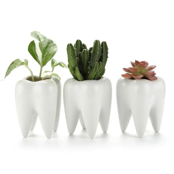 Tandformet hvid keramisk blomsterpotte moderne design planter tænder model mini skrivebordspotte gave