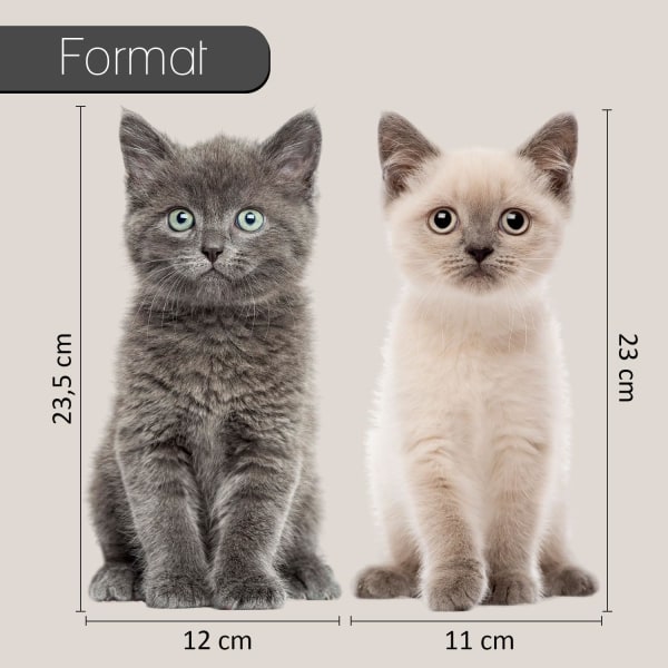 Katt-babyklistermärken set I 2 söta klistermärken för djurvänner I grå och brun I verklighetstrogen stor Kattbebisar – grå och brun