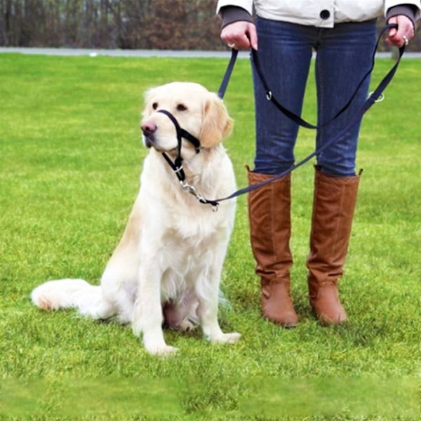 Hundmunstycke med draglina Justerbar hundhuvudkrage Halster Förhindra att bita skälla springa iväg L