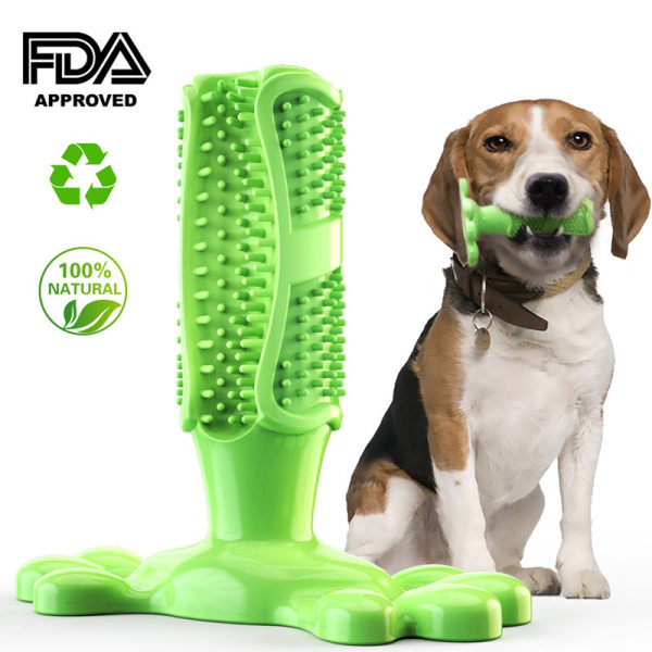 Hundtugggummileksaker Hundtandborste Tänderrengöring Leksak Hund Tandborstar grön Large
