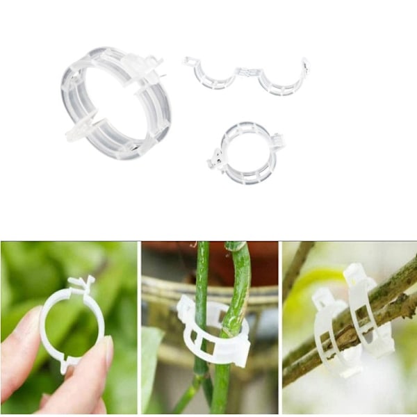 Växtklämmor för växtstöd/spaljé 100-pack Transparent