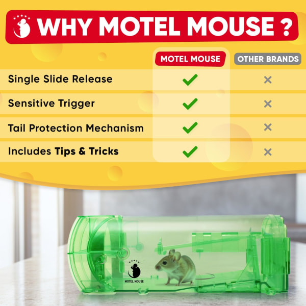 musfällor inomhus för hem Levande musfälla Fånga och släppa musfällor
