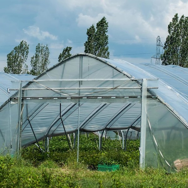 2x6m Polyethylen Drivhusfilm, Transparent, Ekstra Tyk Havefilm til Folietunneler 2x6m