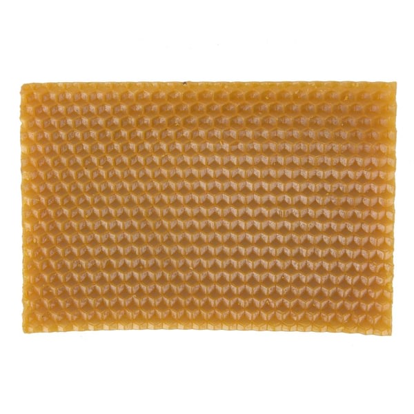 10 stk. Gule Honeycomb Foundation Bee Hive Wax Rammer