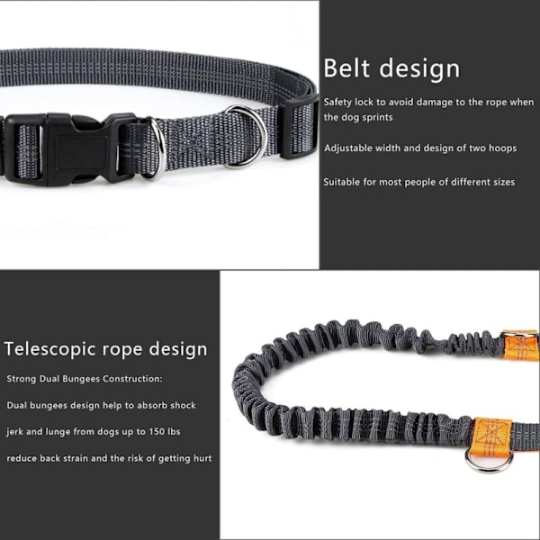 Handsfree hundkoppel, justerbart och elastiskt joggingkoppel med reflexdetaljer för hundar upp till 110 kg