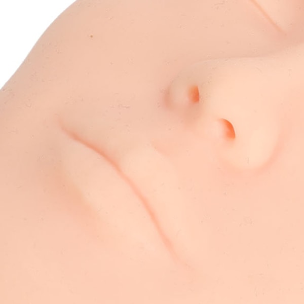 Sminkövningskit Ansikte 3D Realistiskt Helt Ansikte Övning Bred 8st Sminkborstar Återanvändbar Mannekäng Kosmetisk Övningsverktyg Ljus Hudfärg