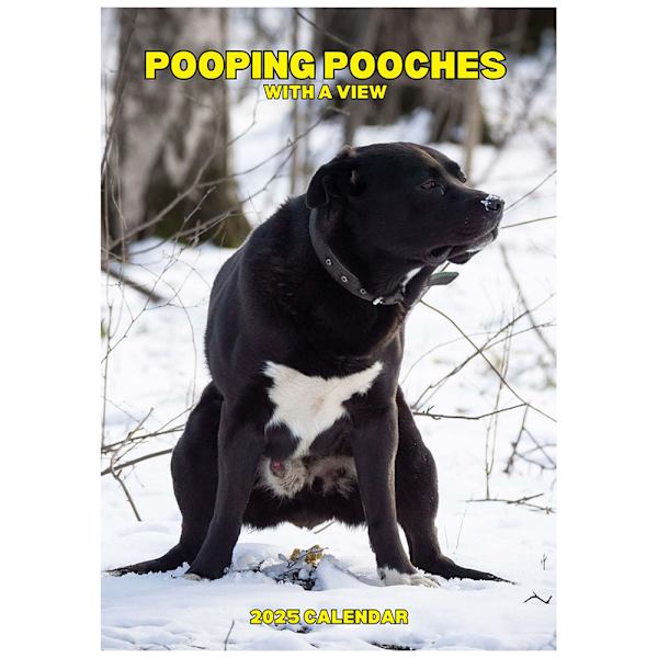 Hundbajs-kalender 2025 - Rolig bajsande hundkalender, skämtgåvor, presenter till vänner familj bror syster make
