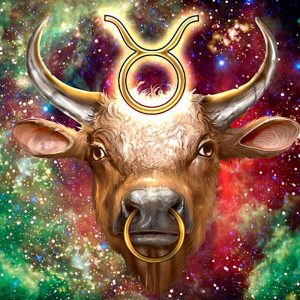 Tolv Konstellationer 5D Full Borr Diamantmålningar Dekoration Taurus