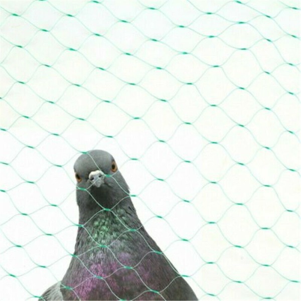 2x10M Trädgårdsdamm Nät Växter Frukt Skyddsnät Anti Fågel Nät Grönsaker Grödor 2*10M