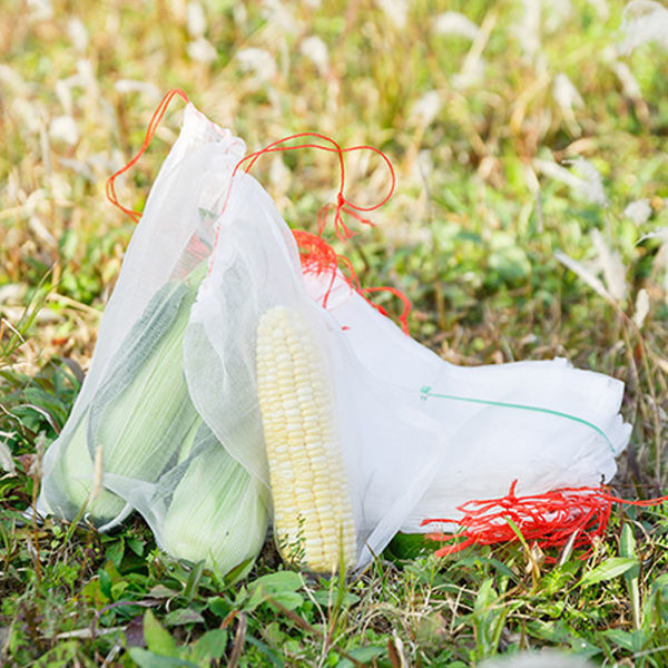 Trädgårdsväxt Fruktnät Skyddspåsar Dragkedja Mot Insekter Skadedjur Fågel 10cm*15cm