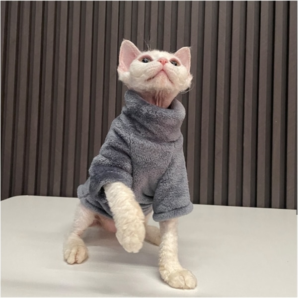 Husdjurskläder Katt Bekväma Tröja Utomhusjacka Hund Väst dark grey M