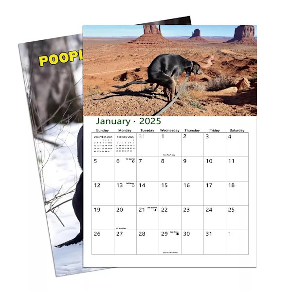 Hundbajs-kalender 2025 - Rolig bajsande hundkalender, skämtgåvor, presenter till vänner familj bror syster make