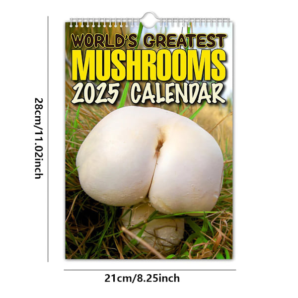 2025 Största Kalender 2025 Hängande Vägg Rolig Nyhet Humor 12 Månaders Kalender