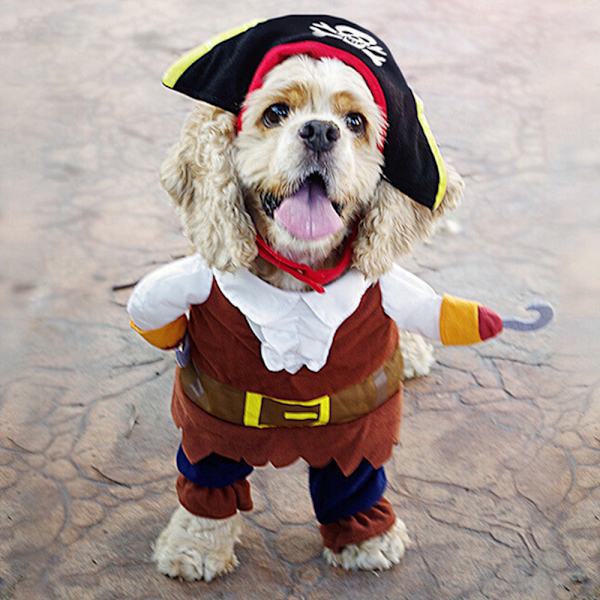 Halloween-kostym för hund och katt - Pirat Cosplay Rolig Festlig XL