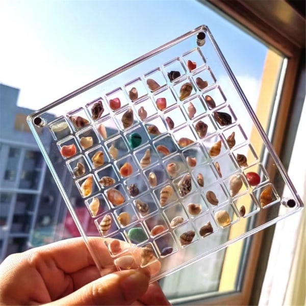 Transparent Magnetisk Snäckskalsförvaringsdisplaylåda, Diamant Ädelsten Pärlförvaring 36 Grids