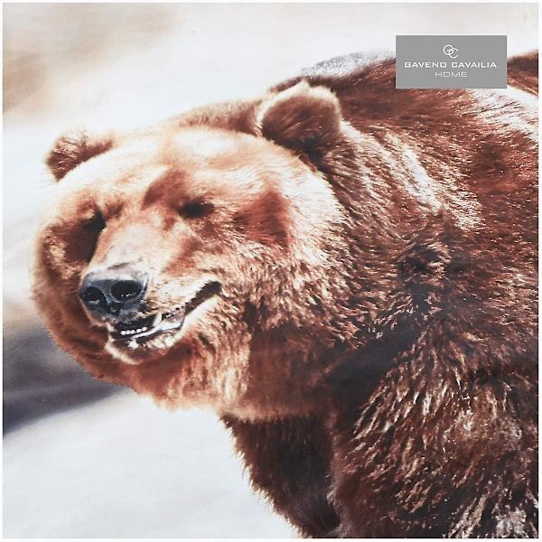 Cover, 3d-sängkläder påslakan, cover med örngott, Bull Dog, 3d Bear Double