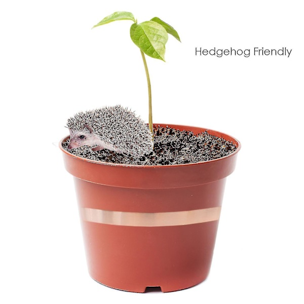 Trixes 2st snigelavvisande koppartejp Hedgehog Friendly 20 m rullar