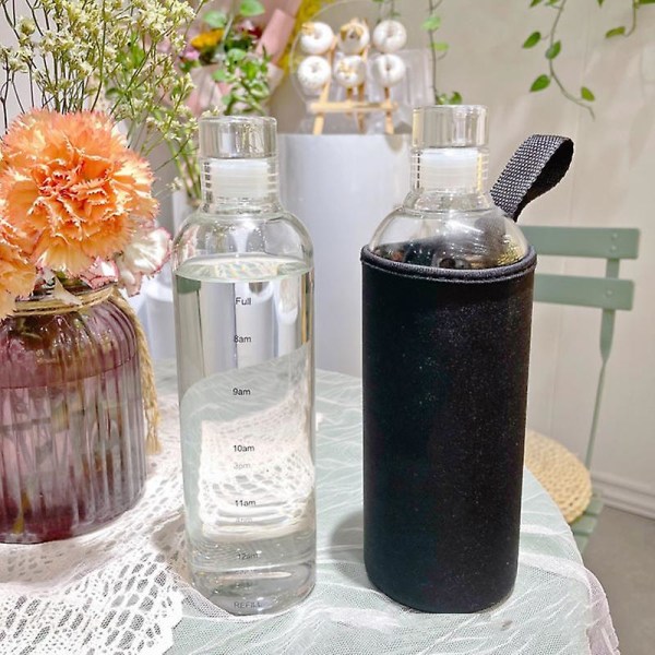 500 ml vattenflaska Läcksäker tidsskalatryck Print hög borosilikat teservsflaska för kontor Grey B