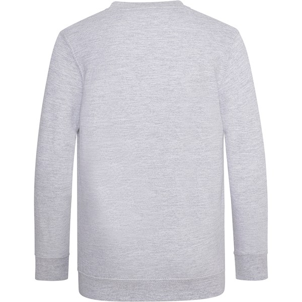 AWDis Academy Barn/Barn Junior V-hals Skoltrøye/Sweatshirt Grå 13 Years Grey