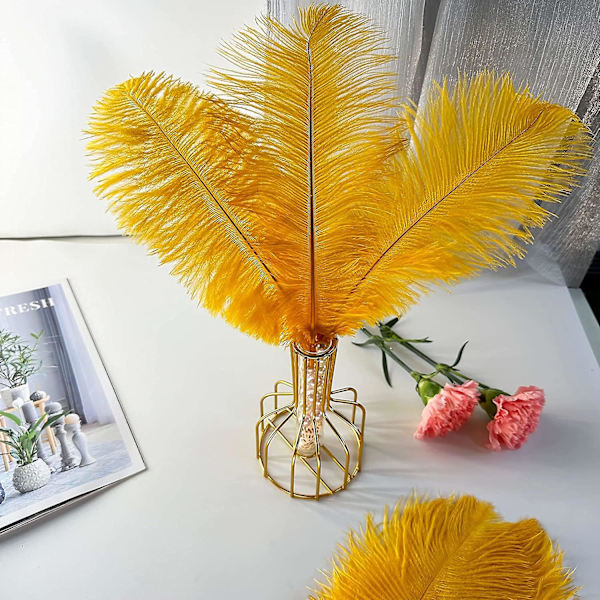 20 stk. Natura Gold strutsfjer 12-14 tommer (30-35 cm) Bulk til DIY Thanksgiving-dekorationer, bryllupsfestens midtpunkter, Gatsby-dekorationer