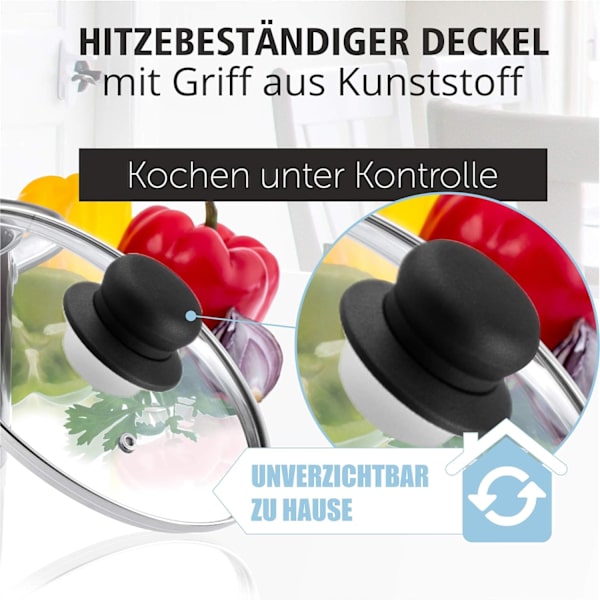 KADAX Glaslock, grytlock i glas, ⌀ 14–30 cm, värmebeständigt grytlock, stekpannelock med plasthandtag, universellt i olika storlekar 26