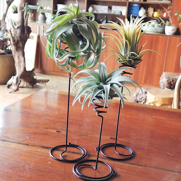 3 stk. Metal Air Ananas Stativ Base Blomsterholder Hjem Ba