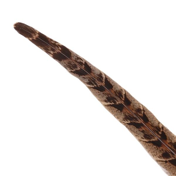 Fjer Svanehale Fjer 10-15CM - spot salg 10-15cm