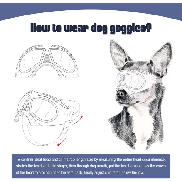 Koira aurinkolasit Silmäsuoja Koira aurinkolasit Anti-UV-lasit