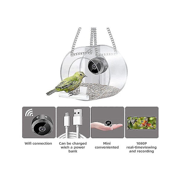 Udendørs Trådløs Kamera Fuglefoderbræt, Fuglehus med 720P Kamera Natversion WiFi Kamera, Sort