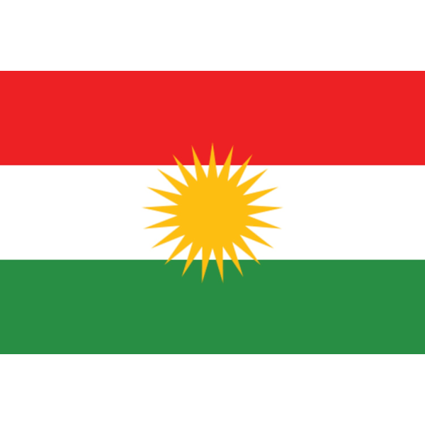 Flagga - Kurdistan 100
