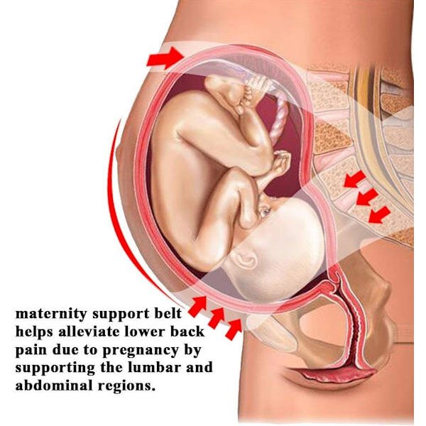 Maternity Support Belt RTDEP Graviditetsbælte Støttebøjle