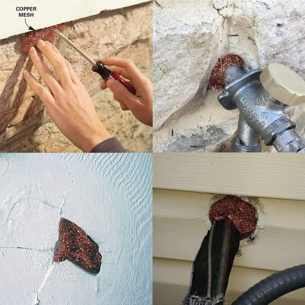 Kobbernet til have, 6 mx 12,5 cm Anti Rodent Mesh Protect