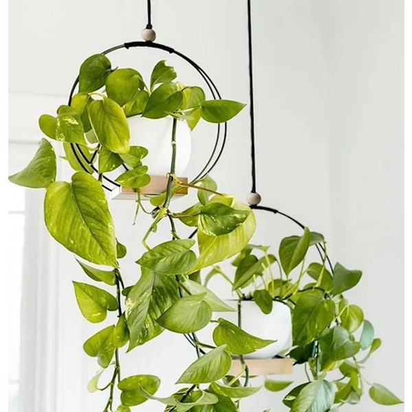 2 stk. Hængende Blomsterpottehylde med Indendørs Hængende Blomsterpotter, Balkon Dekoration, Planter, Stue, Træhylde, Hængende Kurv (Rund * Sort)