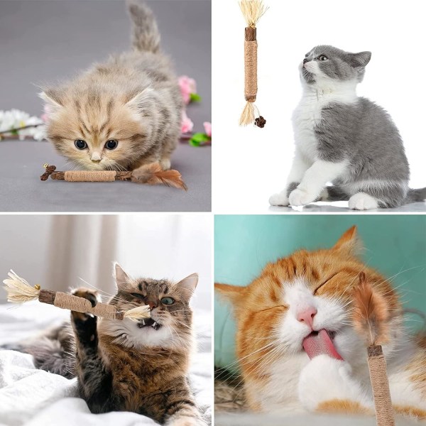 Kattemynte pinner (3-pakning), tyggepinner for katter, dentale tyggepinner