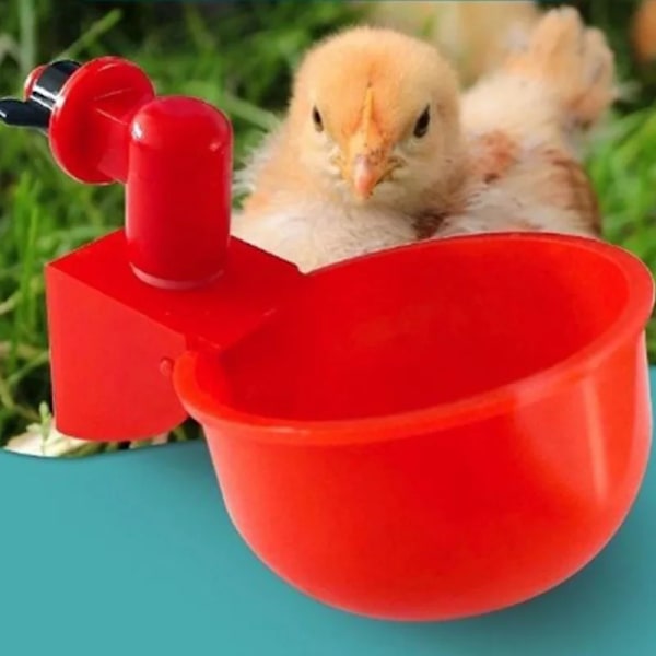 Kanan ja ankan juomakuppi muovia, siipikarjan juoma-astia, helppo asentaa 36pcs