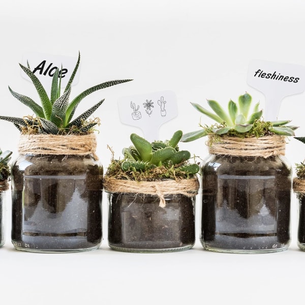 100 stk. plantetiketter, frøplantetiketter, havegrøntsagsplante W