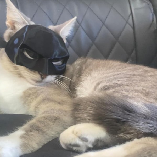 Ny Bat Cat Avenger Maske Cosplay Hat Katt Legetøj Ornament Cool Batman Kattemaske Kæledyrstilbehør Dekoration 13cm
