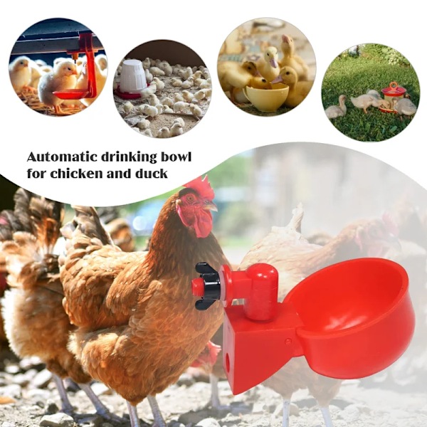 Kanan ja ankan juomakuppi muovia, siipikarjan juoma-astia, helppo asentaa 36pcs