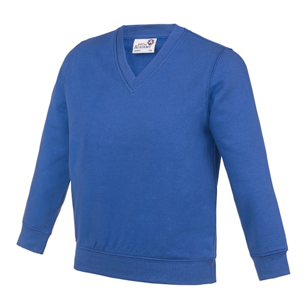 AWDis Academy Barn/Barn Junior V-hals Skoltröja/Sweatshirt Royal Blå 9-10 Years Royal Blue