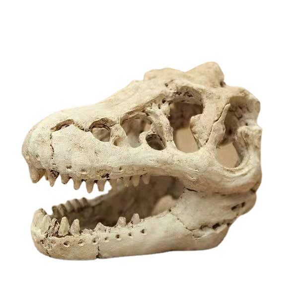 Akvariedekor Resin Emulational Skull - dinosaur skull skeleton