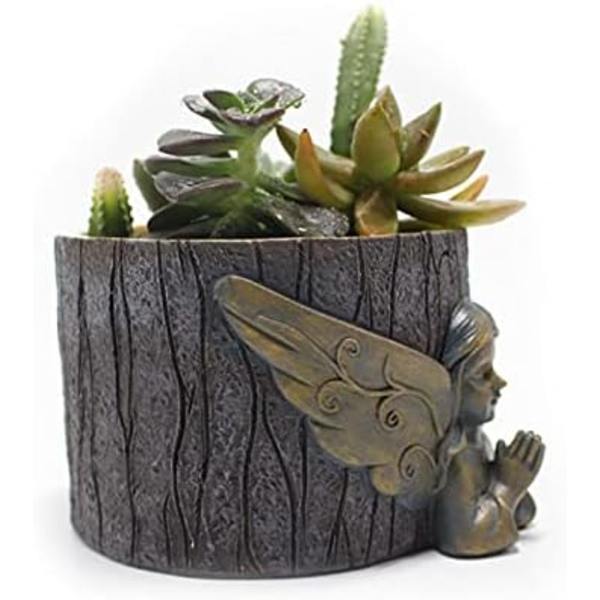 Sett med 2 blomsterpotter i harpiks til sukkulenter - Bonsai-Little Angel